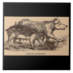 Azulejo De Cerámica cerdos de impresión animal de granja del siglo XIX