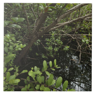 Azulejo De Cerámica Charca tropical de la sal