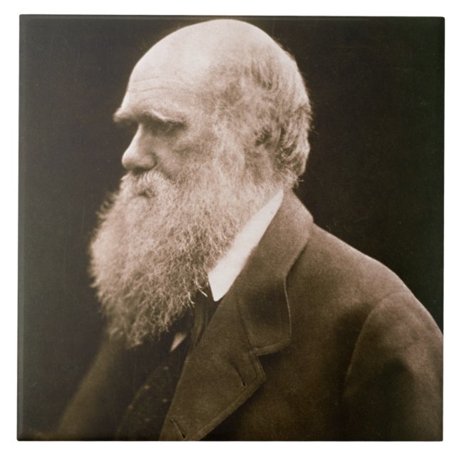 Azulejo De Cerámica Charles Darwin (1809-82) (foto) (Frente)