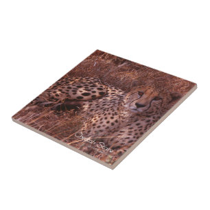Azulejo De Cerámica Cheetah Stare