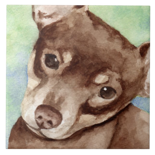 Azulejo De Cerámica Chihuahua (Frente)