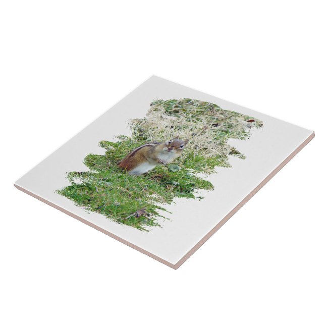 Azulejo De Cerámica Chipmunk oriental (Lado)