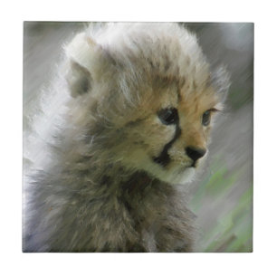 Azulejo De Cerámica Chita 014