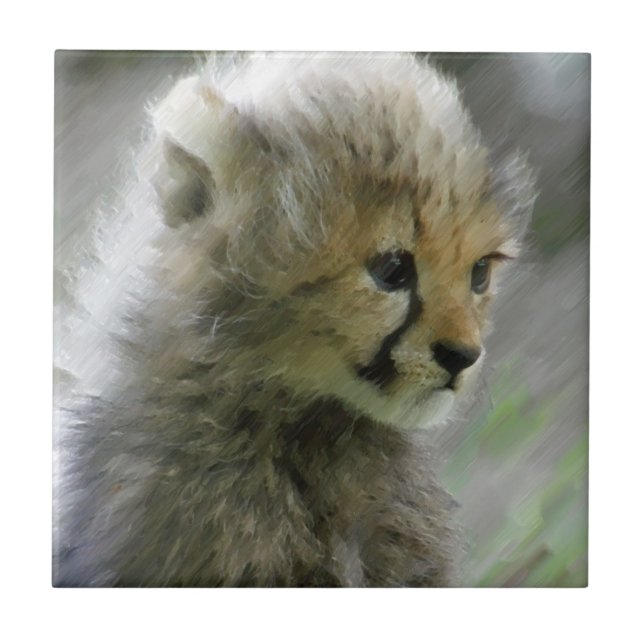 Azulejo De Cerámica Chita 014 (Frente)