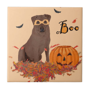 Azulejo De Cerámica Chocolate Labrador Retriever ¡Boo!