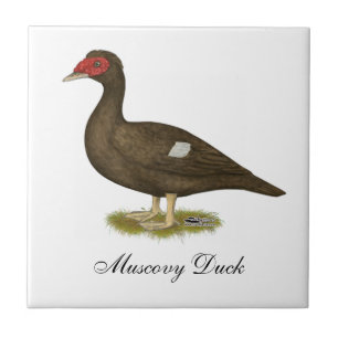 Azulejo De Cerámica Chocolate Muscovy Duck