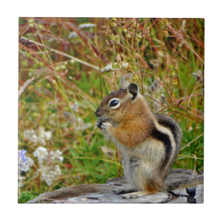 Azulejo De Cerámica Chubby lindo chipmunk sobre trozo de madera