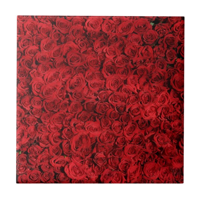 Azulejo De Cerámica Cientos de hermosas rosas rojas (Frente)