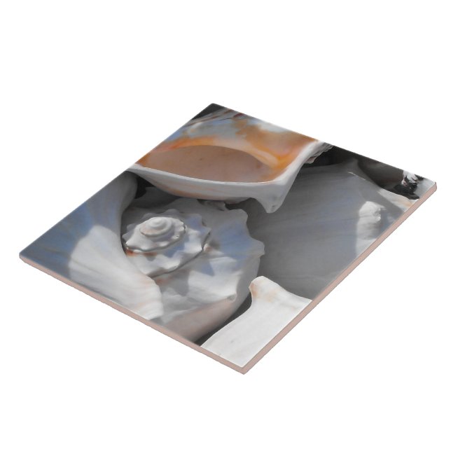 Azulejo De Cerámica Cierre de conchas (Lado)