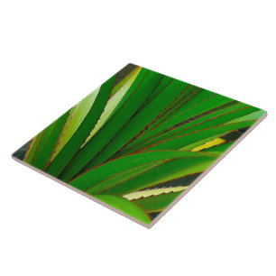 Azulejo De Cerámica Cierre de la aguja