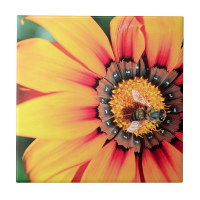 Azulejo De Cerámica Cierre Extremo De Un Polen Colectivo De Abejas (Frente)