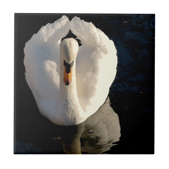 Azulejo De Cerámica Cisne (Frente)