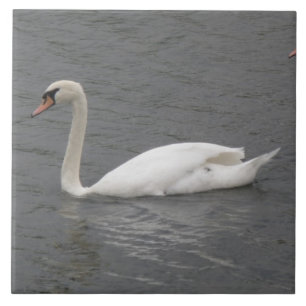 Azulejo De Cerámica Cisnes en el río Tile