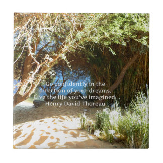 Azulejo De Cerámica Cita de Sueño Motivacional de Henry David Thoreau