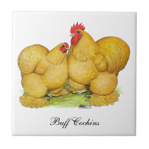 Azulejo De Cerámica Cochins Buff Pair