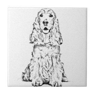Azulejo De Cerámica Cocker spaniel