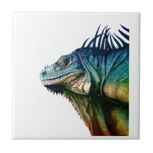 AZULEJO DE CERÁMICA COGIDO EN MOMENTOS