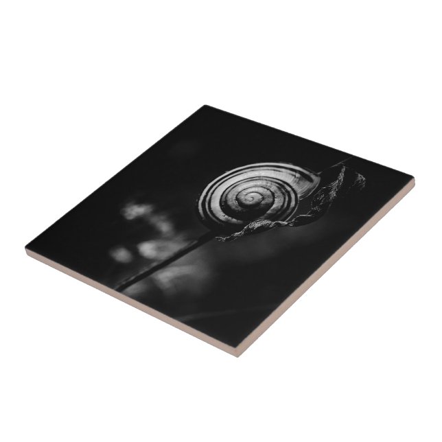 Azulejo De Cerámica cola de caracol (Lado)