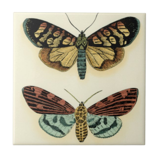 Azulejo De Cerámica Colección de mariposas por Chariklia Zarris (Frente)