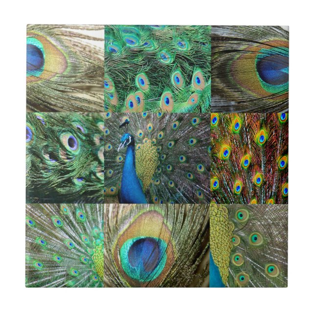 Azulejo De Cerámica Colección fotográfica Green Blue Peacock (Frente)
