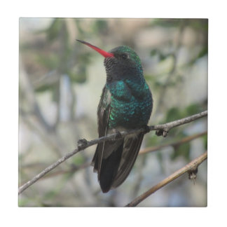 Azulejo De Cerámica colibrí Amplio-cargado en cuenta