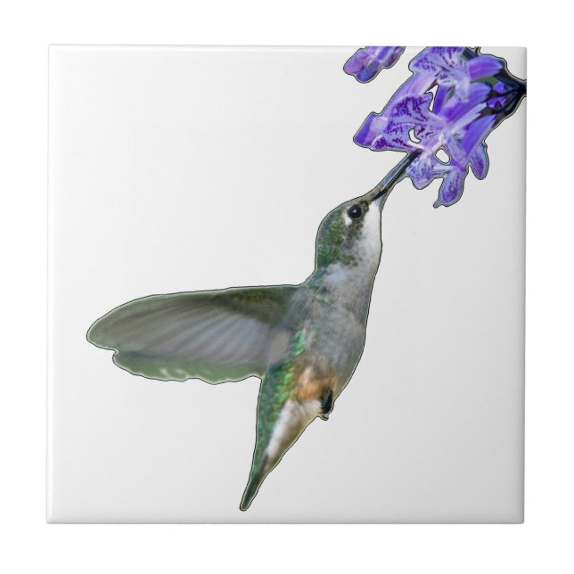 Azulejo De Cerámica Colibrí con Mona Lavender (Frente)