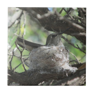 Azulejo De Cerámica Colibrí en jerarquía