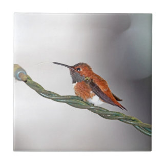 Azulejo De Cerámica Colibrí que pega hacia fuera la lengua