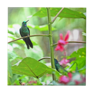 Azulejo De Cerámica Colibrí y flores tropicales