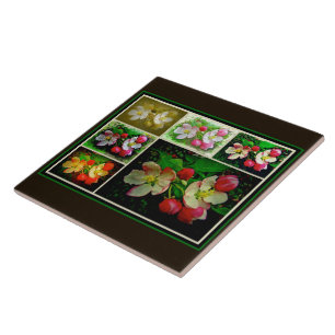 Azulejo De Cerámica Collage de Apple Blossom - Foto digital mejorada