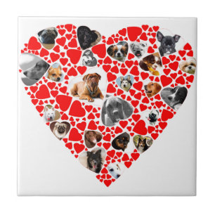 Azulejo De Cerámica Collage de fotos de Perro Corazón de San Valentín