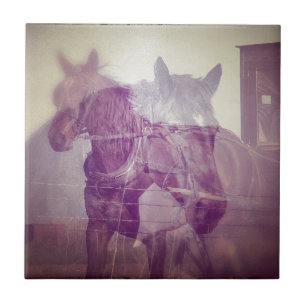 Azulejo De Cerámica Collage digital de caballos de Amish