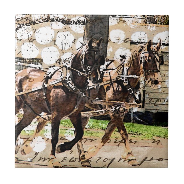 Azulejo De Cerámica Collage mixto de medios de dos caballos (Frente)