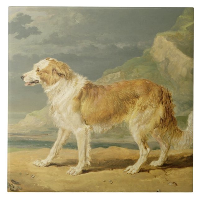 Azulejo De Cerámica collie Áspero-revestido, 1809 (aceite a bordo) (Frente)