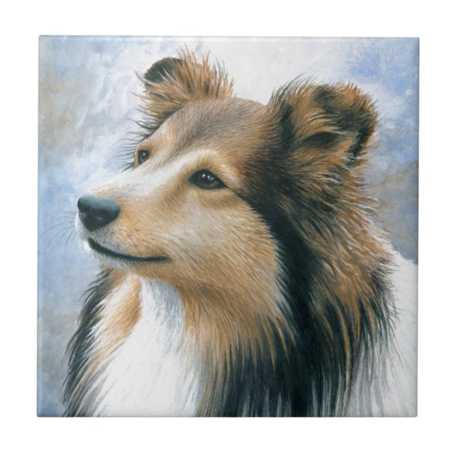 Azulejo De Cerámica Collie de Sheltie del perro 122 (Frente)
