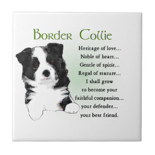Azulejo De Cerámica Collie Puppy de borde