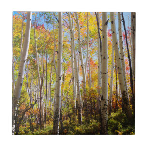 Azulejo De Cerámica Colores de otoño de árboles de Aspen 5