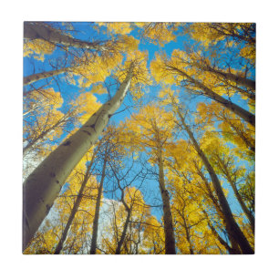 Azulejo De Cerámica Colores otoñales 2