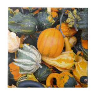 Azulejo De Cerámica Coloridos Gourds y Squash de Otoño