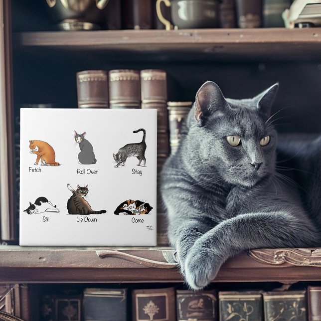 Azulejo De Cerámica Comandos de Cat (Subido por el creador)