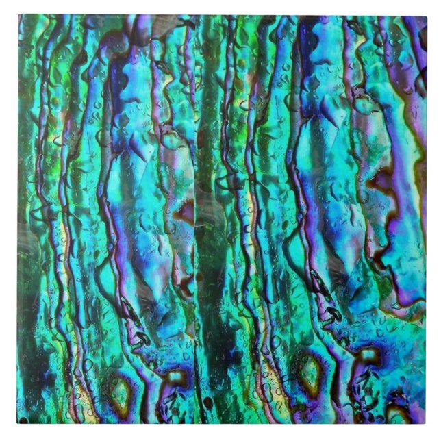 Azulejo de cerámica con estampado de abulón (Frente)