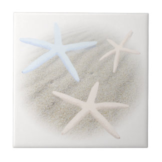 Azulejo de cerámica con estrella de mar en arena d