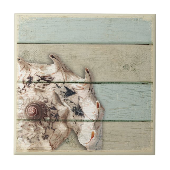 Azulejo De Cerámica Concha de la corona (Frente)