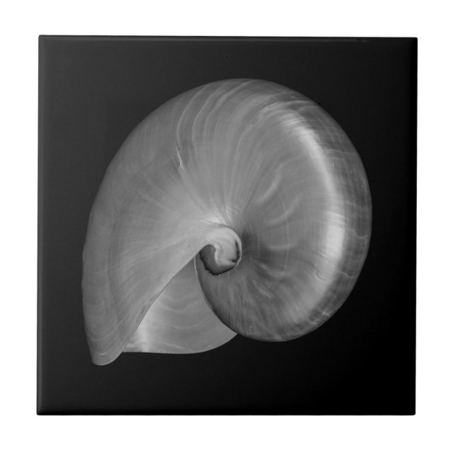 Azulejo De Cerámica Concha de Nautilus en Blanco y Negro (Frente)