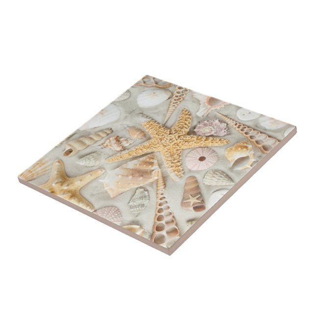 Azulejo De Cerámica conchas marinas (Starfish Seashells Cermic Tile!)