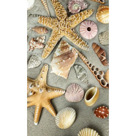 Azulejo De Cerámica conchas marinas