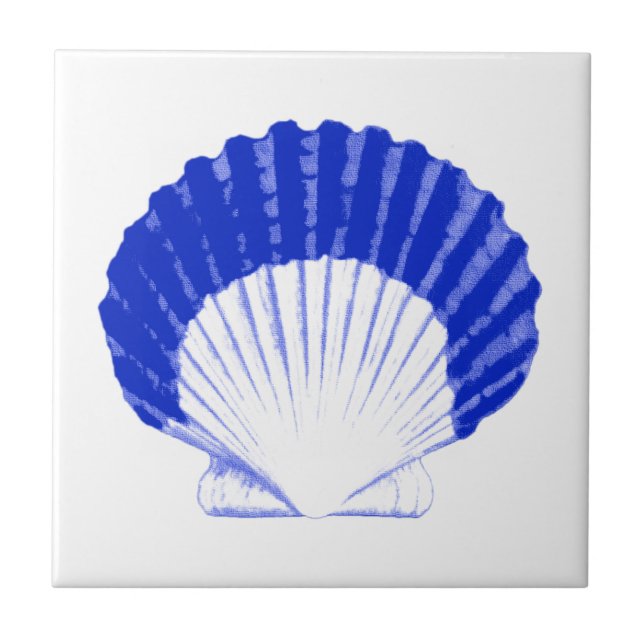 Azulejo De Cerámica Conchas marinas: azul cobalto y blanco (Frente)