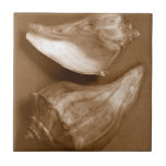 Azulejo De Cerámica Conchas sensuales<br><div class="desc">Renee W. Stramel captura estas conchas en un hermoso tono sepia. Esta vintage pieza de arte es un complemento perfecto para los amantes de la anémona marina. Imprima su arte hoy en su producto.</div>
