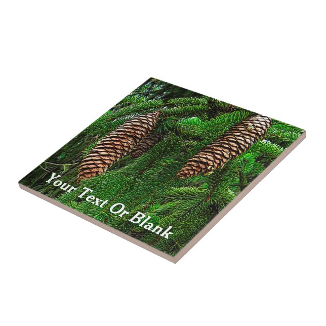 Azulejo De Cerámica Cones Y Agujas (Lado)