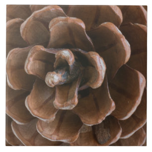 Azulejo De Cerámica Cono de pino